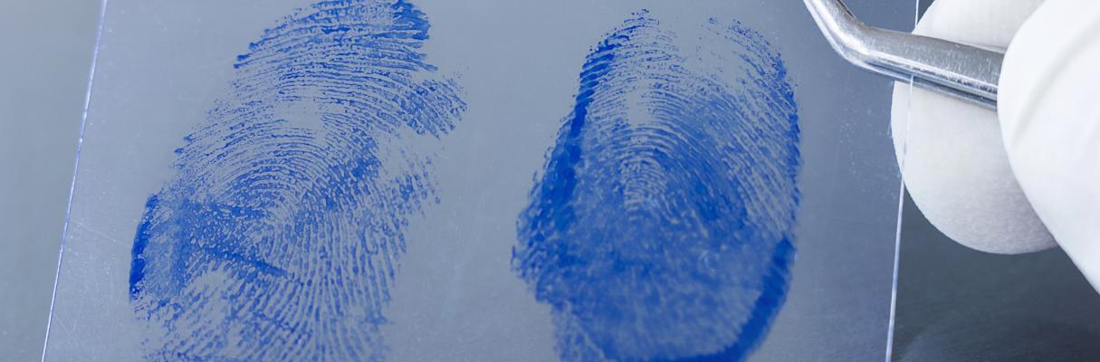 Bevisning i brottmål och tvistemål – fördjupningskurs