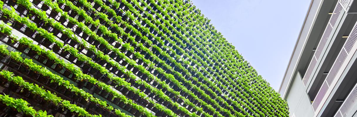 Hållbar upphandling