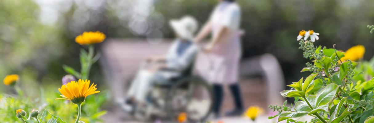 Handläggning inom äldreomsorgen